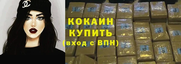 мет Арсеньев