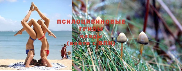 прущие крисы Армянск