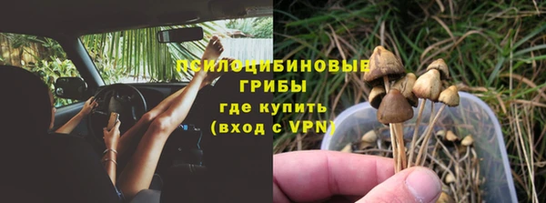 мет Арсеньев
