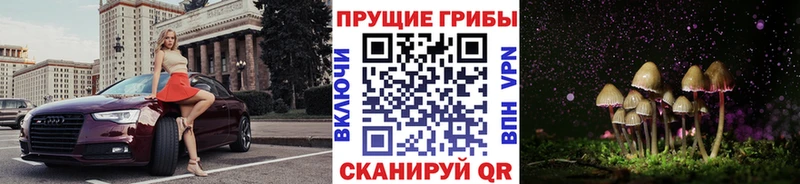 Псилоцибиновые грибы Cubensis  магазин    Сасово 